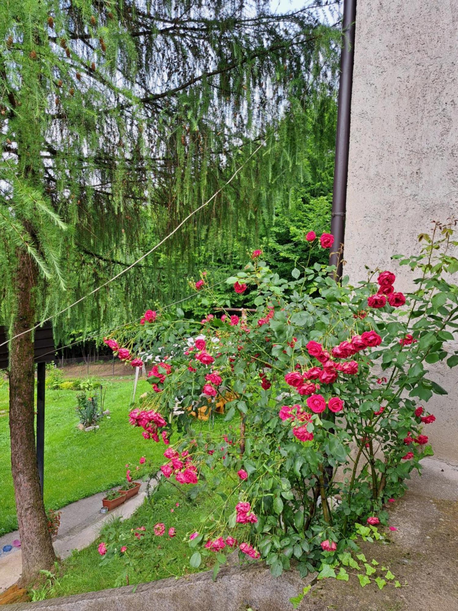 Villa Mala farma Nani à Visoko Extérieur photo