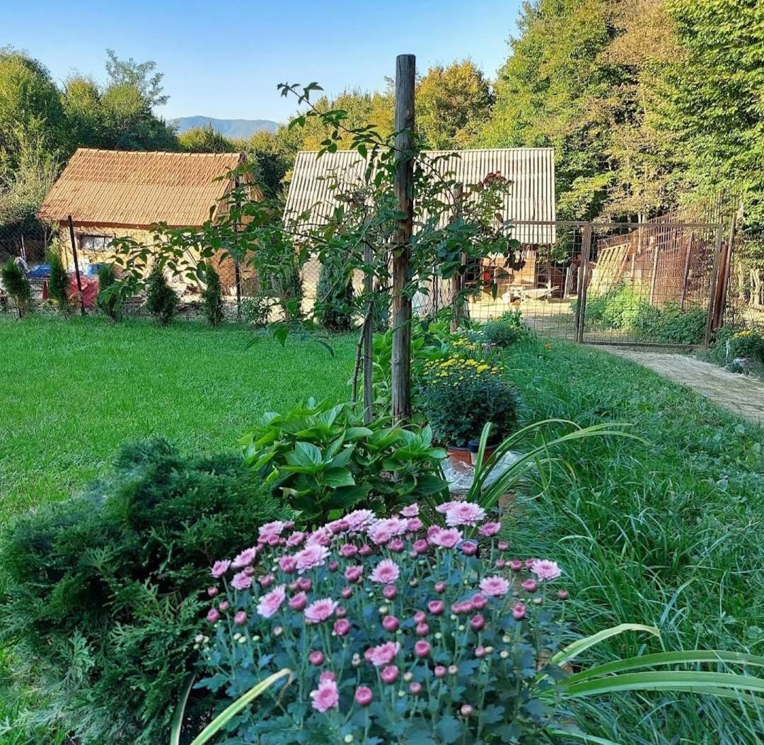 Villa Mala farma Nani à Visoko Extérieur photo