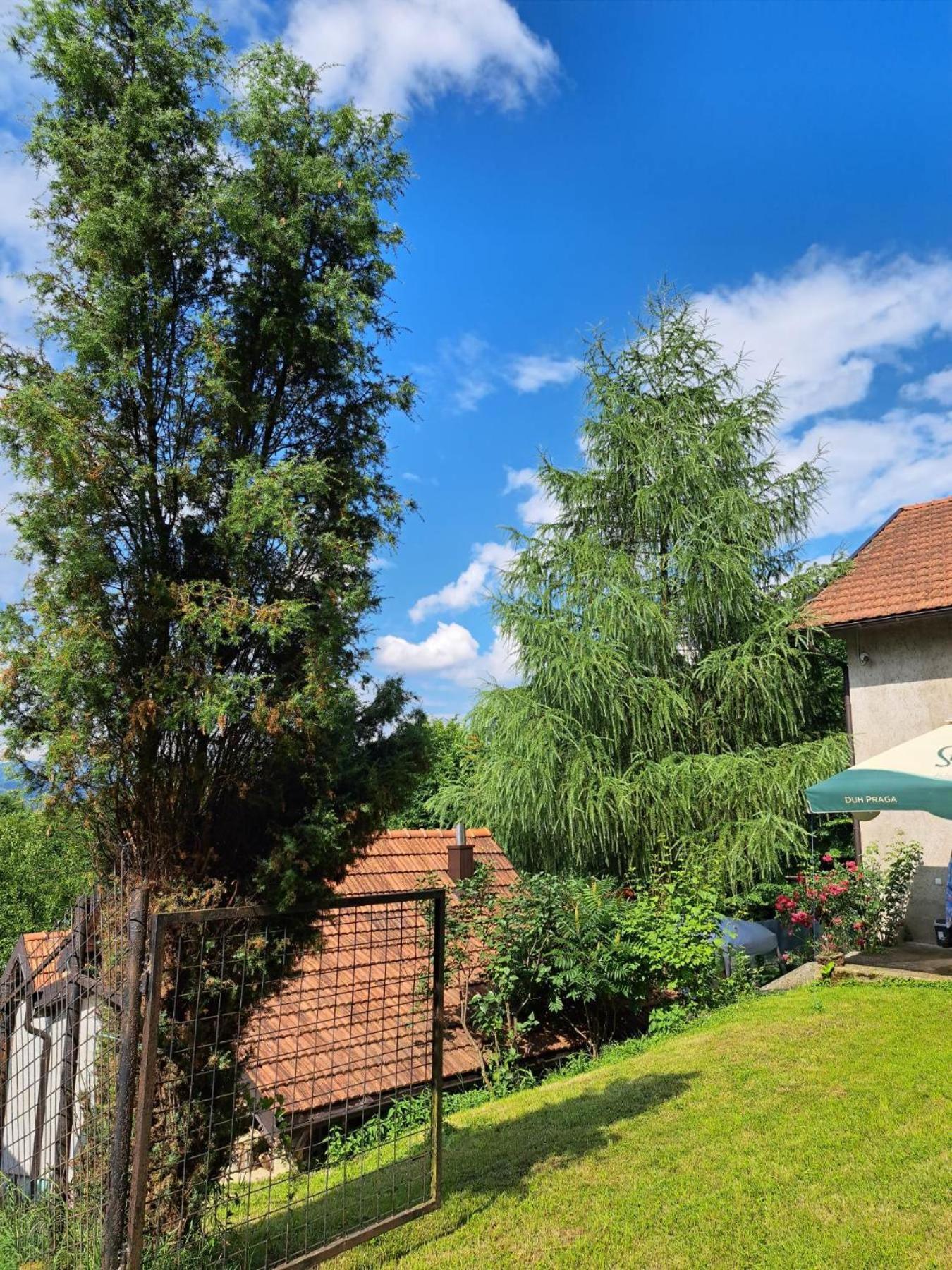 Villa Mala farma Nani à Visoko Extérieur photo