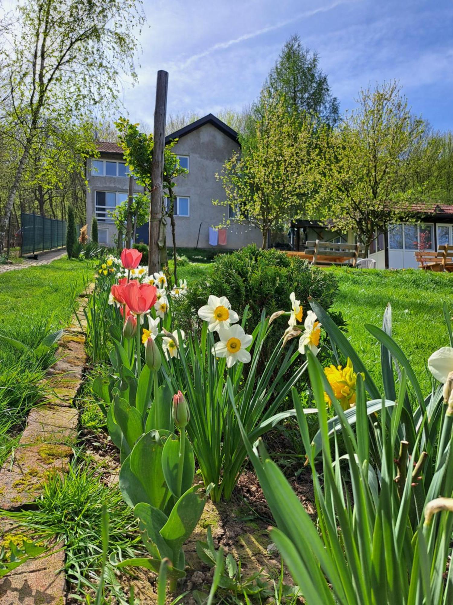 Villa Mala farma Nani à Visoko Extérieur photo