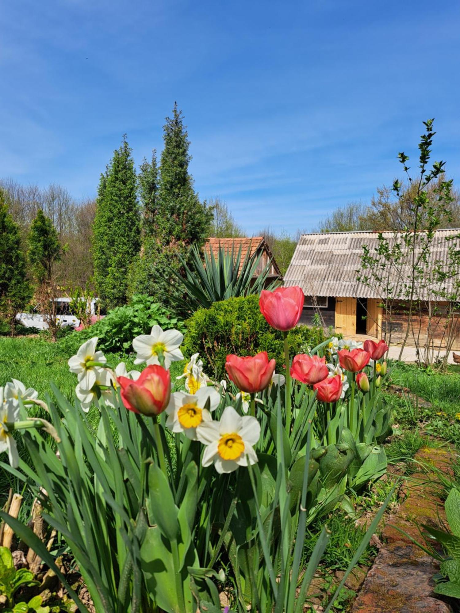 Villa Mala farma Nani à Visoko Extérieur photo